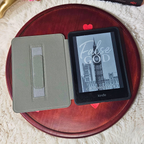 Floral Bunny Kindle Case