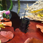 Shimmery Bat Hair Claw
